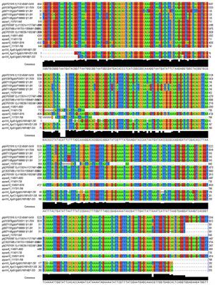 Actinobacillus pleuropneumoniae Surviving on Environmental Multi-Species Biofilms in Swine Farms